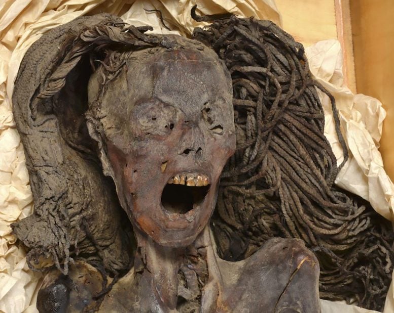 Screaming female mummy face