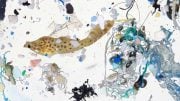 Scribbled Filefish Surrounded by Plastics