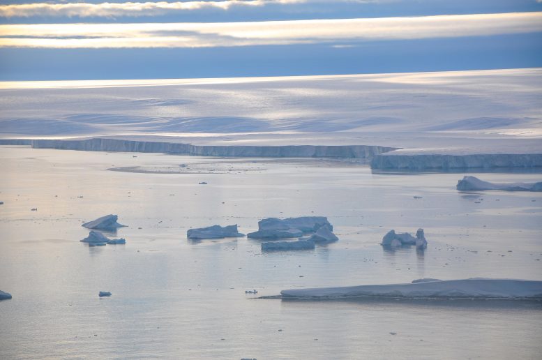 Sea Ice Floes and Bergs on the Arctic Sea