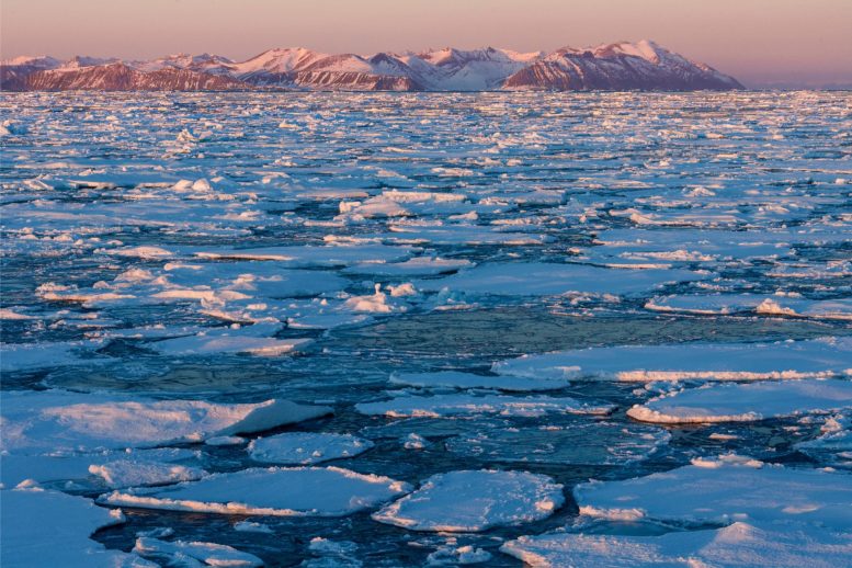 Sea Ice Greenland