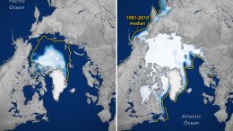 Sea Ice Highs and Lows 2020 21