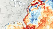 Sea Surface Temperature Anomaly July 2020