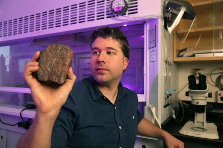 Search for the earliest traces of life on Earth