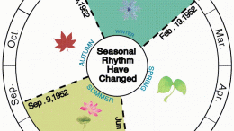 Seasonal Rhythms Changing
