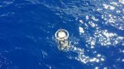 Secchi Disks Lowered Into Water To Measure Phytoplankton Abundance