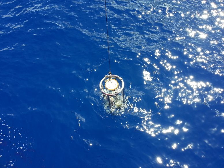 Secchi Disks Lowered Into Water To Measure Phytoplankton Abundance