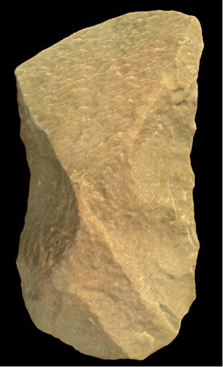 מחקר חדש חושף את מקורותיה של תרבות מצטברת באבולוציה האנושית - Twoday טודיי