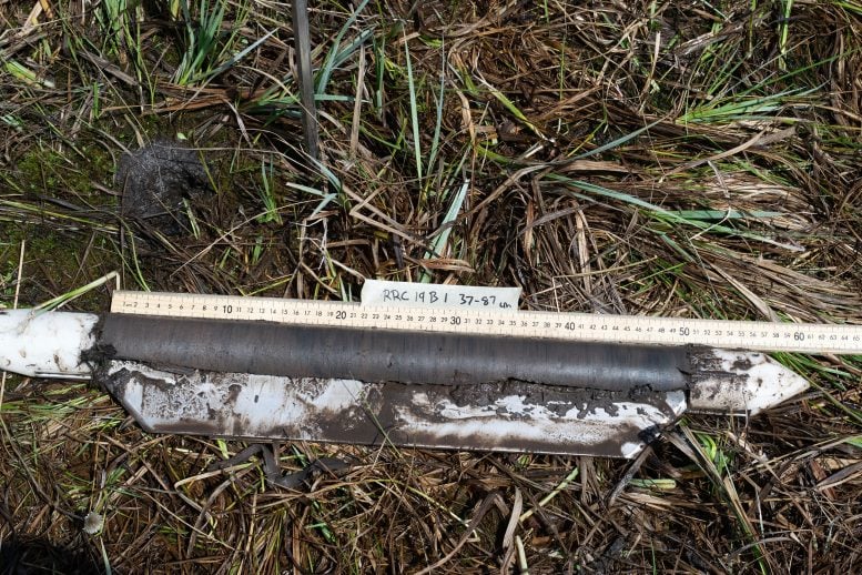 Sediment Cores Directly Next to the Excavation Area