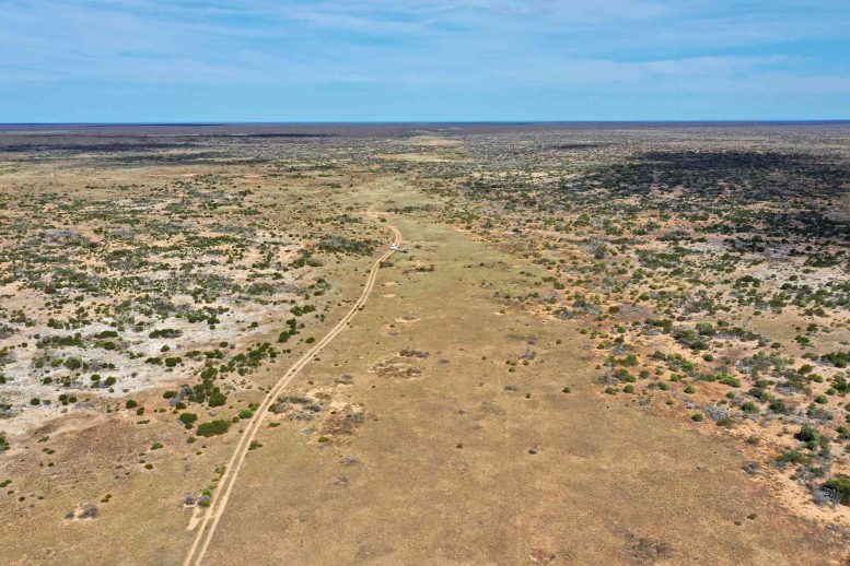 Sediment Filled Valley on the Nullarbor Plain