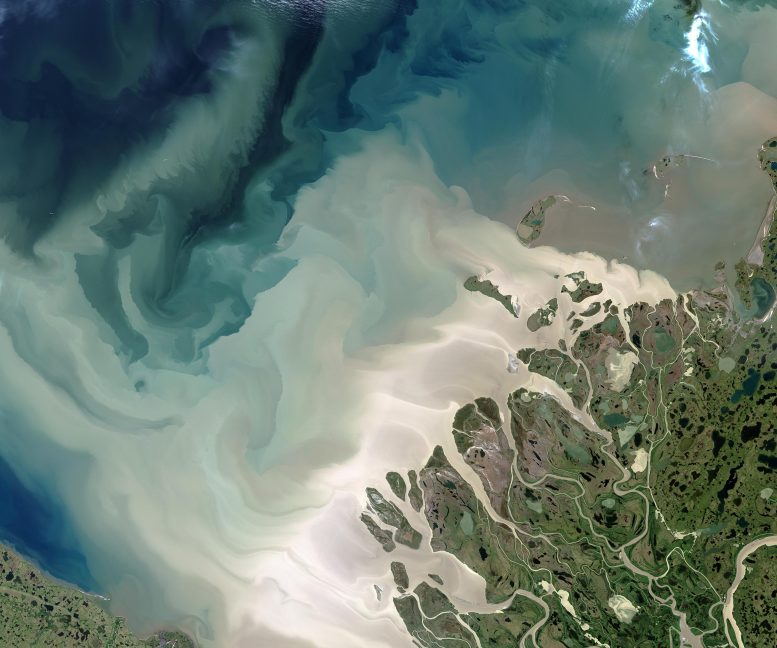 Sediment From Canada’s Mackenzie River
