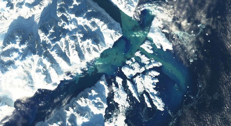 Sediment Plume Scoresby Sound