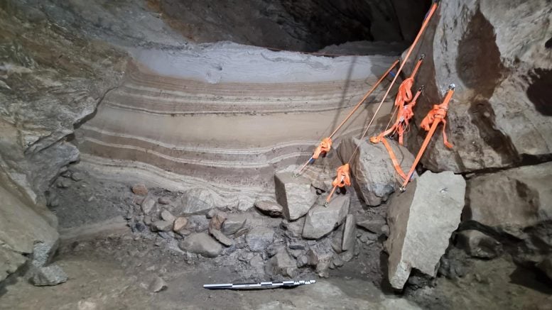 Dunia Hewan Arktik 75.000 -tahun yang ditemukan di Gua Norwegia 2 Profil sedimen di Arne Qvamgrotta