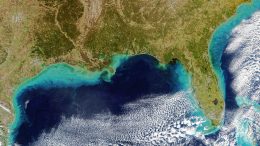 Sediment-Rich Plume From the Mississippi River