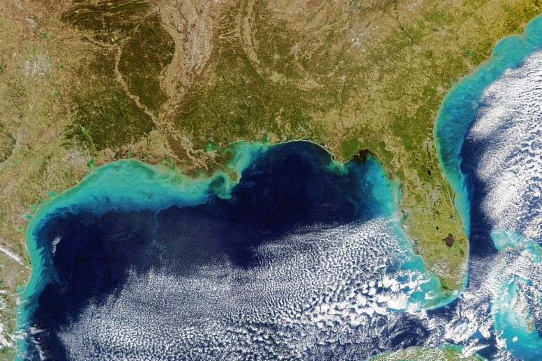 Sediment-Rich Plume From the Mississippi River