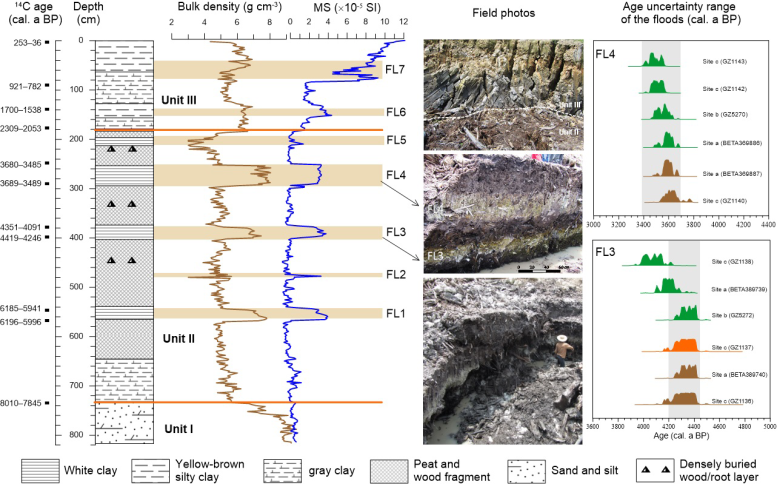 Sedimentary Characteristics, Bulk Density and Magnetic Susceptibility of Profile BS01