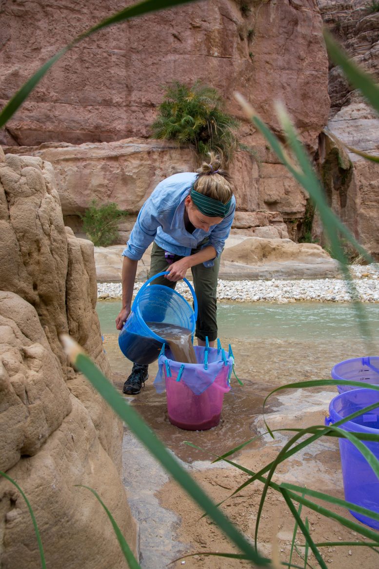 Seed Flotation at Wadi El Hasa