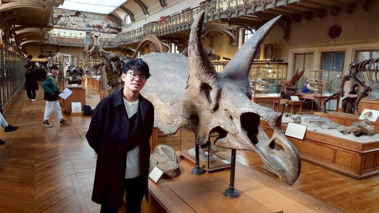 Seishiro Tada Triceratops Skull
