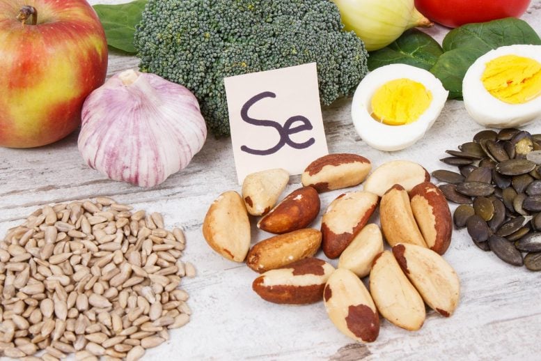Selenium Food Sources Se