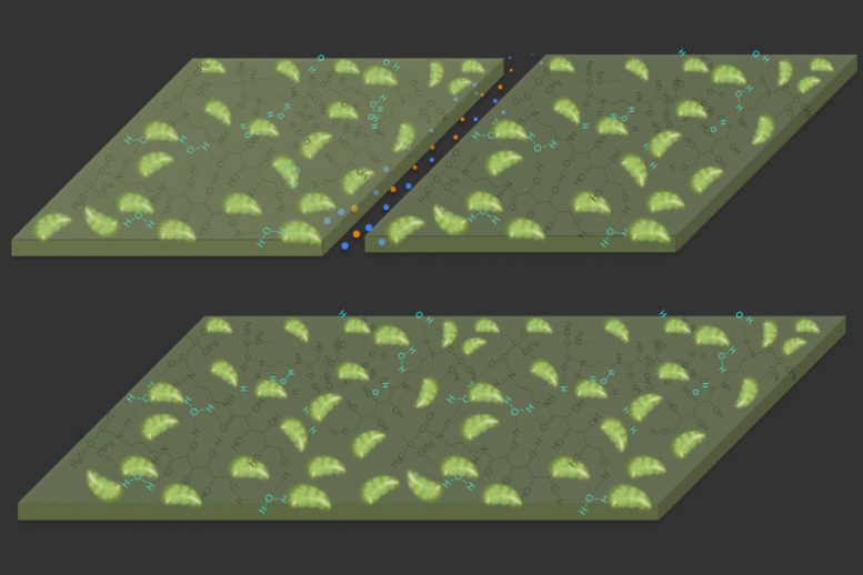 Self Healing Material Uses carbon Dioxide