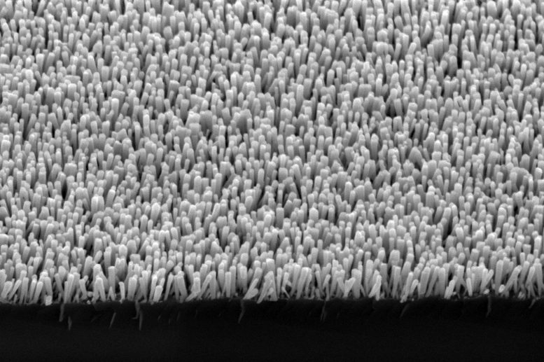 Semiconductor Nanowires