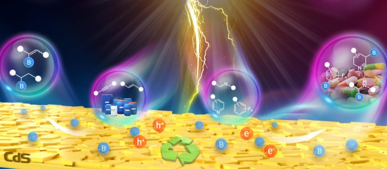 Semiconductor Photocatalyst Helps to Realize Borylation Reaction