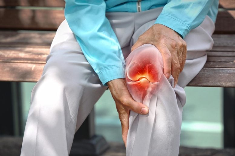 Senior Knee Joint Pain Bench