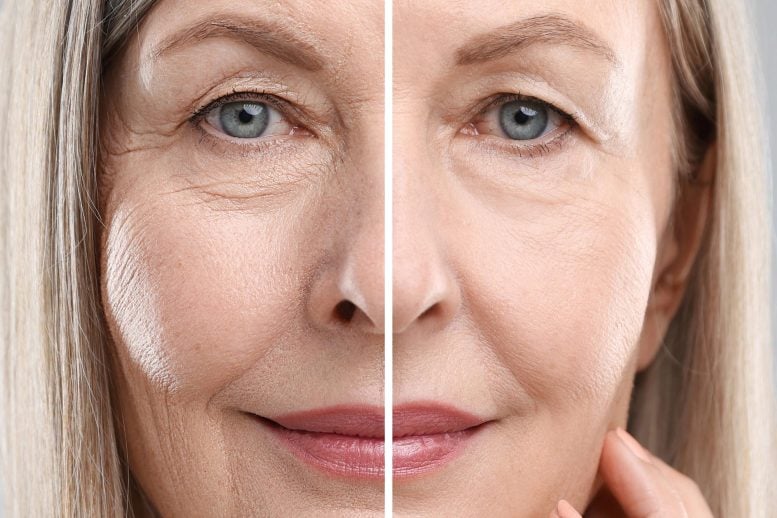 Senior Woman Anti-Aging Beauty Treatment Face Close Up