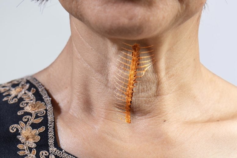Senior Woman Fish Bone Stuck Throat