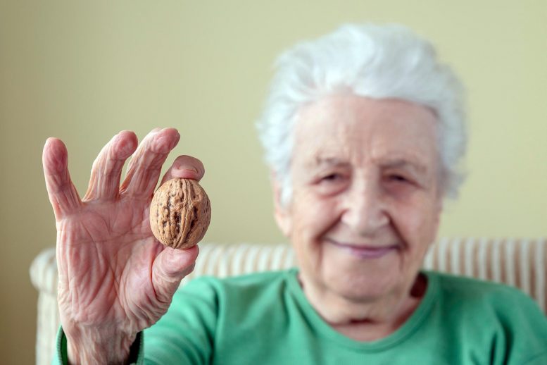 Senior Woman Holding Walnut