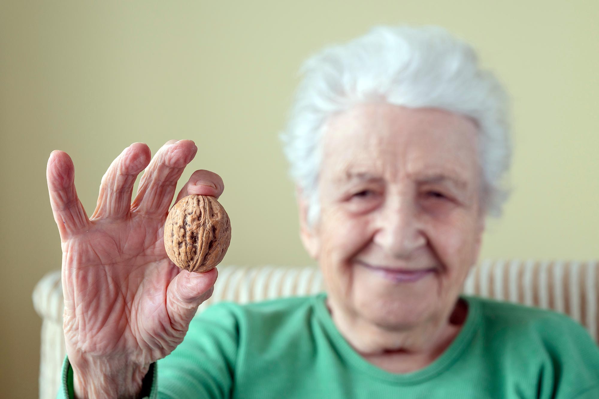 Болезнь долголетия. Пожилой орех. Бабушка с орешком. Бабка с орехами. Бабушка с грецкими орехами.