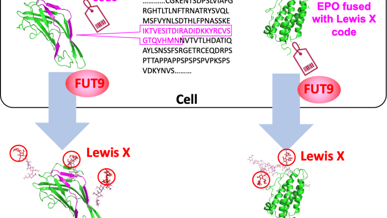 biology-news-scitechdaily