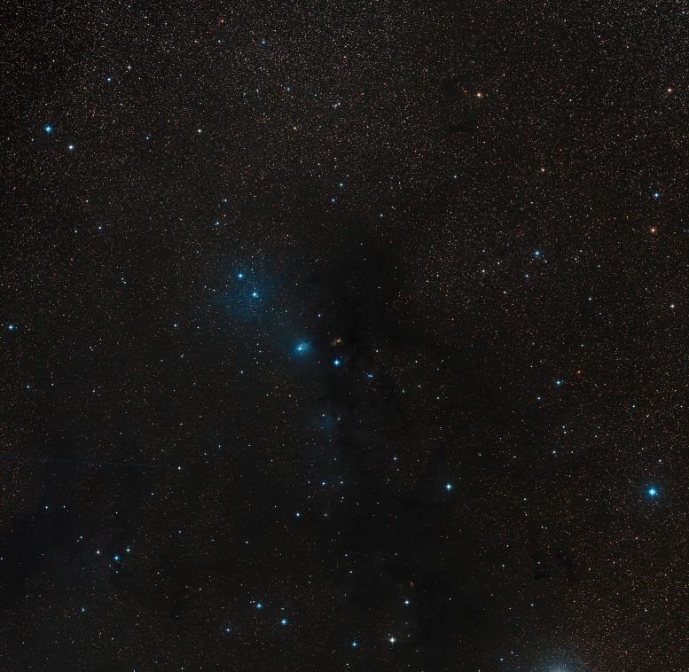 Serpens Nebula Wide-Field View