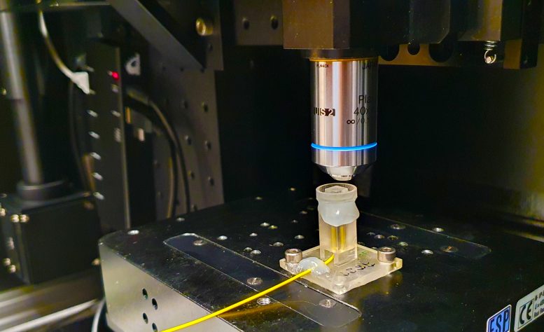 Set Up for 3D Printing Microsensors and Nanogratings