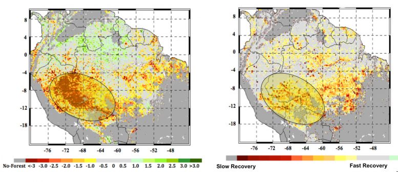 Severe Climate Jeopardizing the Amazon Forest