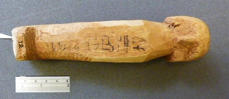 Shabti UC 40179 From Ancient Thebes