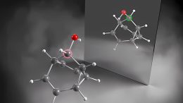 Shape and Dynamic Nature of Molecules