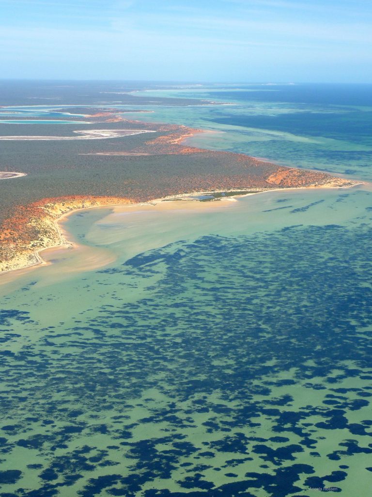 Shark Bay Western Australia