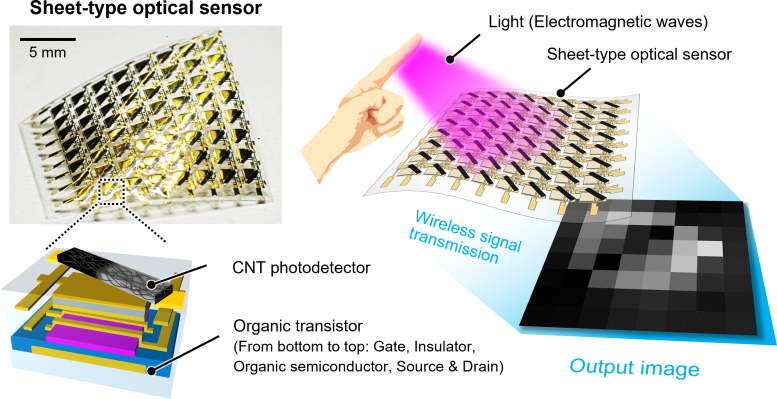 Un sensore ottico a foglio combinato con un fotorilevatore di nanotubi di carbonio e un transistor organico