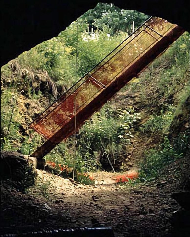 Sheridan Cave Excavation Site