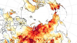 Siberia Land Surface Temperature Anomaly 2020