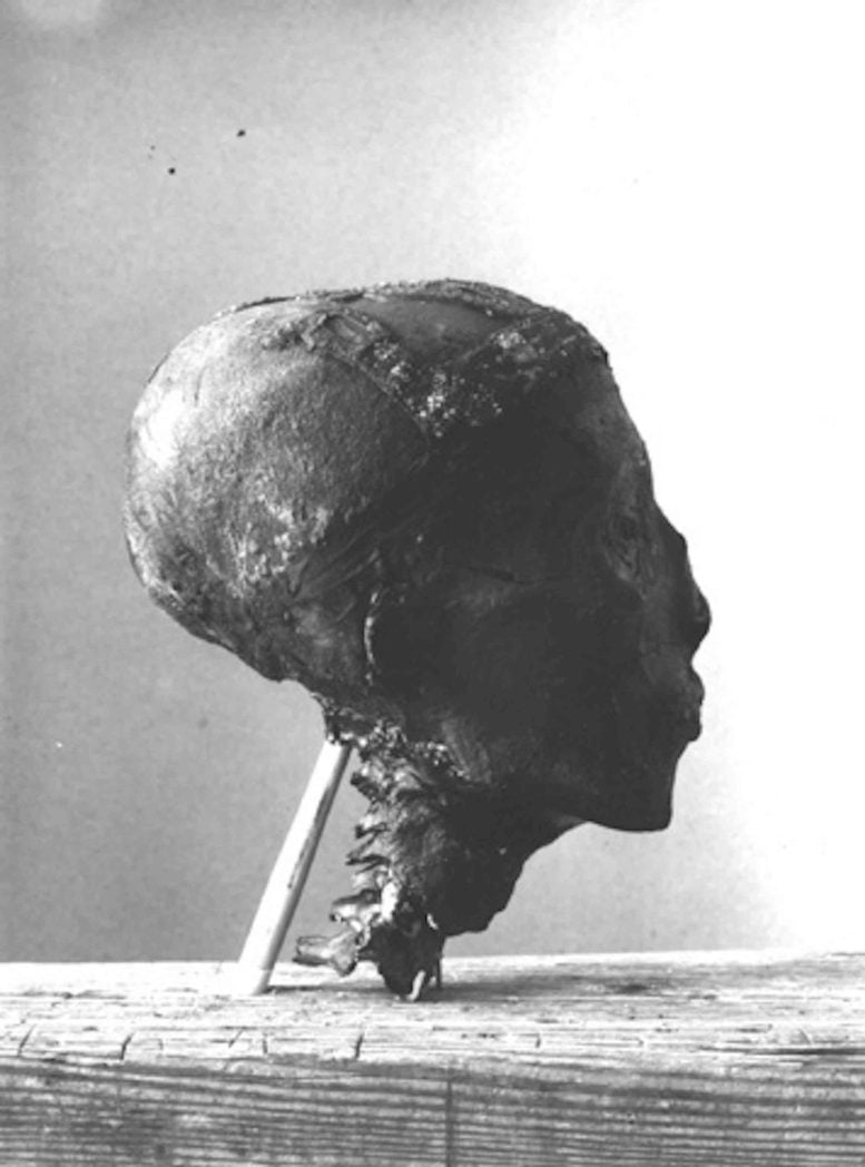 Side of Tutankhamun’s Head