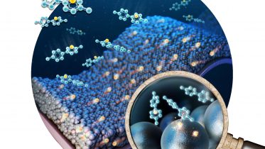 Silicon Based Anode Conceptual Illustration