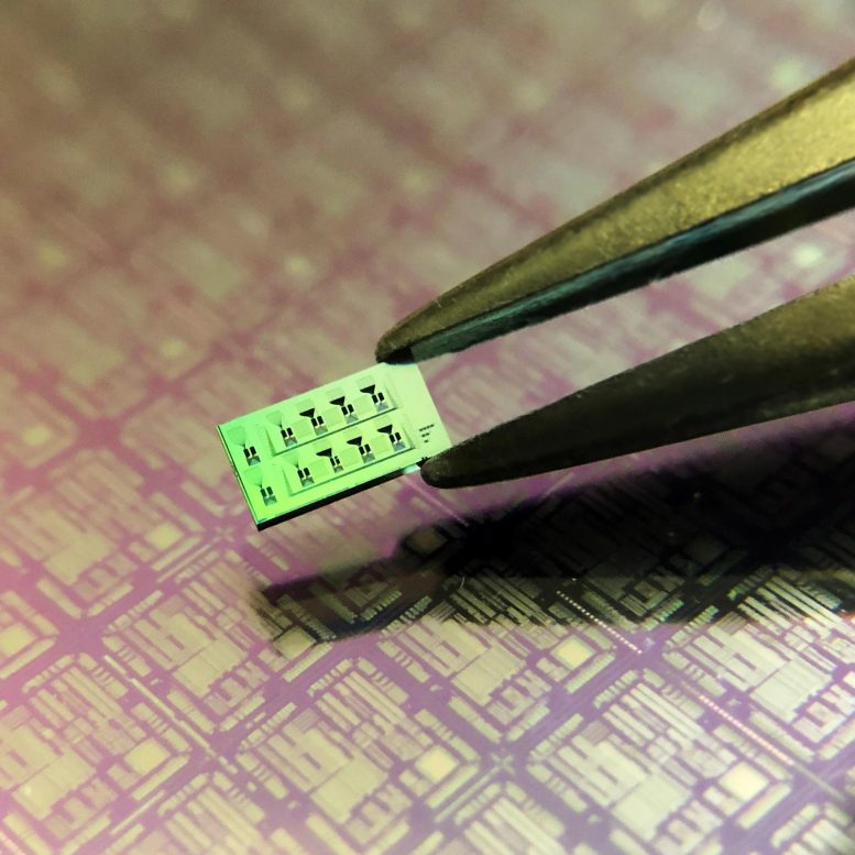 Silicon Chip With Multiple Detectors