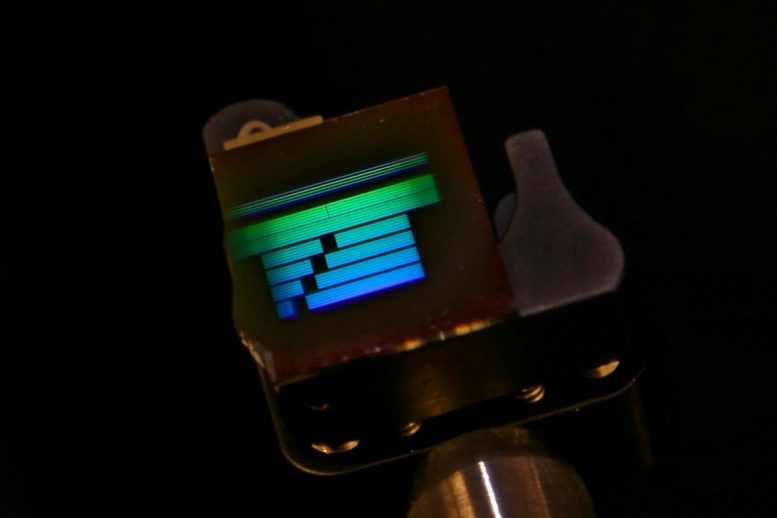 Silicon Test Chip With High Contrast Grating Waveguides