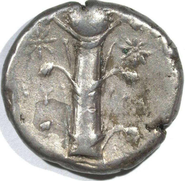 Silphium on Ancient Coin