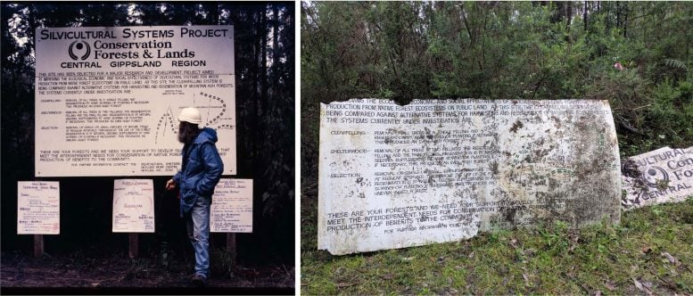 Silvicultural Systems Project Site Sign