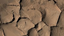 Similar-Looking Ridges on Mars Have Diverse Origins
