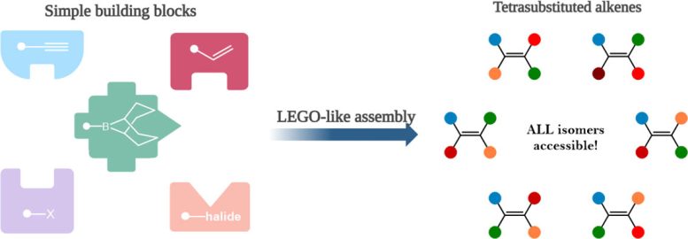 Simple Chemical Building Blocks Used To Assemble Complex Tetrasubstituted Alkenes