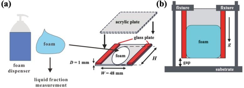 Simple Foams To Observe Drainage and Bubble Structure