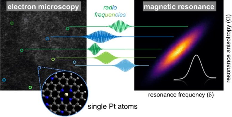 Single Atom Catalyst Map